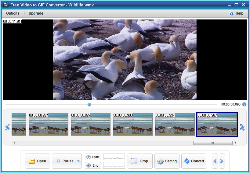 Windows 8 Free Video to GIF Converter full